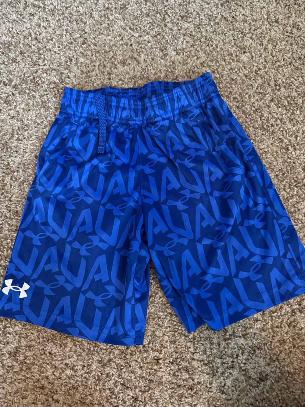 Under Armour Royal Blue Logo Print Boys' Shorts